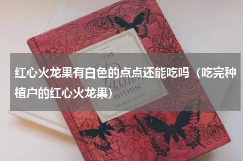 红心火龙果有白色的点点还能吃吗（吃完种植户的红心火龙果）