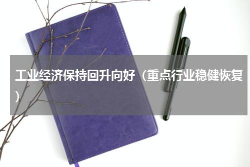 工业经济保持回升向好（重点行业稳健恢复）