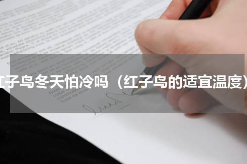 红子鸟冬天怕冷吗（红子鸟的适宜温度）